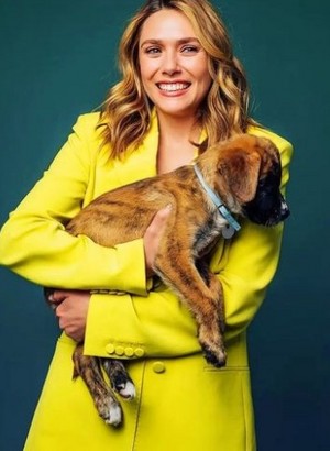  Elizabeth anjing, anak anjing Interview