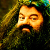  Hagrid