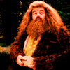  Hagrid