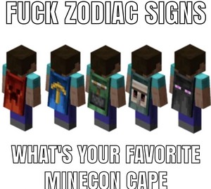  Minecon Cape Meme