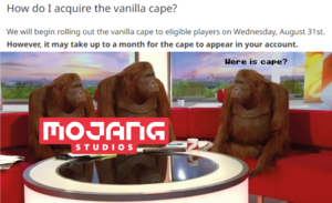  Mojang Studios Cape Minecon Live Meme