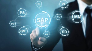 SAP service - Evoort Solutions