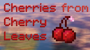 Cherries to cherry grove trees