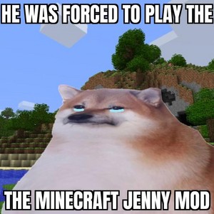  Doge Cheems plays Minecraft（マインクラフト） Jenny Mod meme