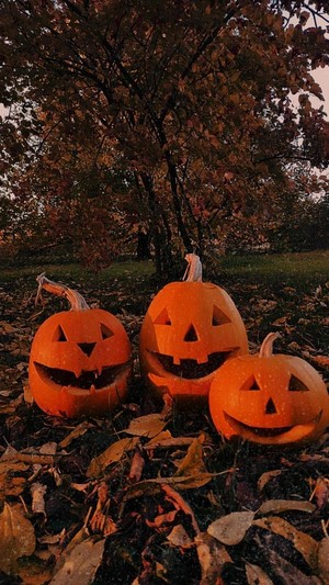  Jack O' Halloween Vibes 🍂🎃