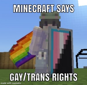  Minecraft (Майнкрафт) Trans Rights Cape Elytra