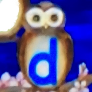  Owls D
