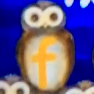 Owls F