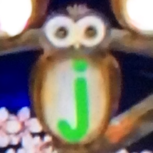  Owls J