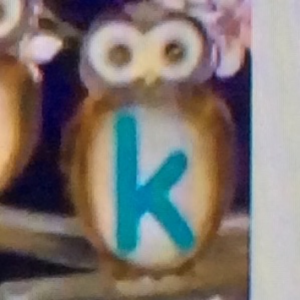  Owls K