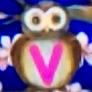  Owls V