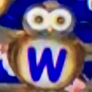 Owls W