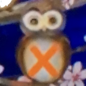  Owls X