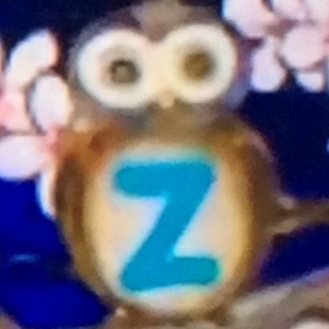  Owls Z