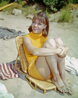 Sally Field | Gidget | ABC | 1965 - 1966  