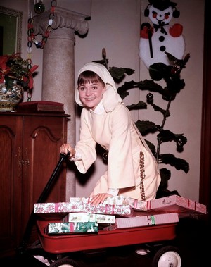  Sally Field as The Flying Nun | 1967