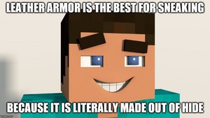  Steve leather armor joke