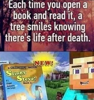  Stinky Steve Book Meme