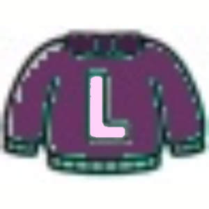  Sweater Letter L