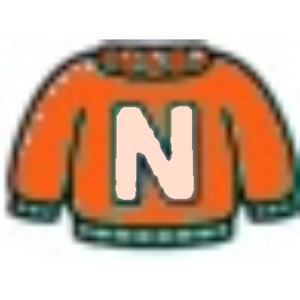  Sweater Letter N