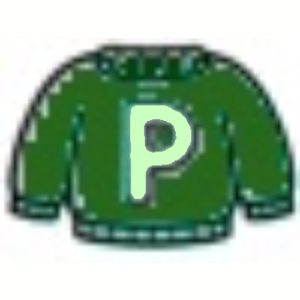  Sweater Letter P