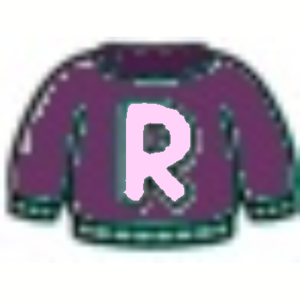  Sweater Letter R