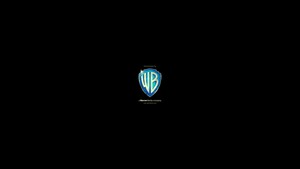 Warner Bros. Pictures Distribution (2020)