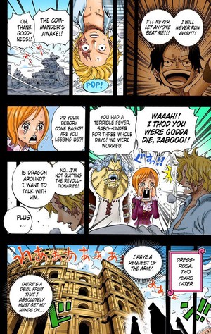  one piece 日本漫画 sabo