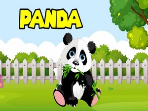  panda