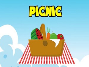  picnic