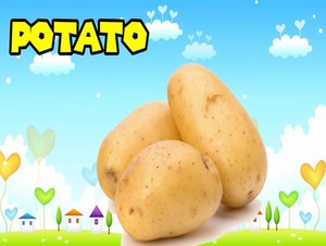  potato