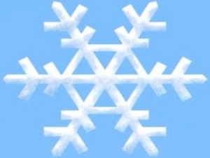  snowflake