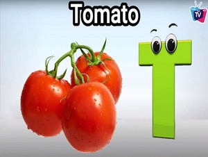 ٹماٹر