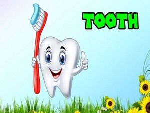  tooth