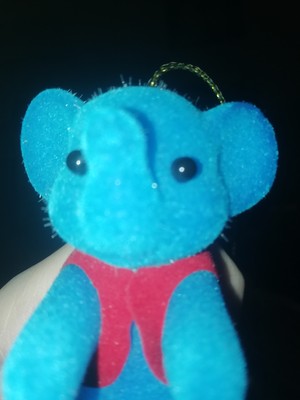  Adorable baby blue éléphant wants some hugs