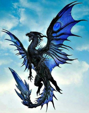  Blue Dragon 💙