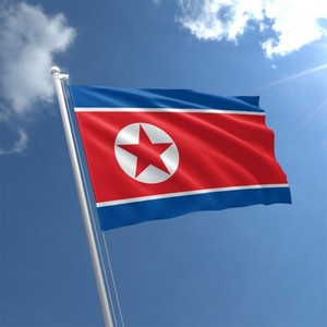  Flag of the DPR Korea Waving high in the Air