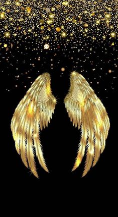 Golden Angel Wings💛