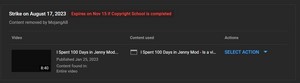  Jenny Mod Video Takedown 100 days