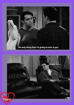  Joey and Chandler...