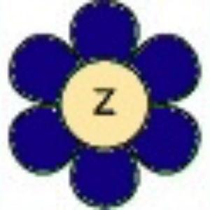  Lowercase flor Z
