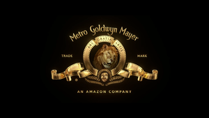  Metro Goldwyn Mayer Pictures