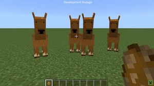  Minecraft kameel, camel Alpha Model
