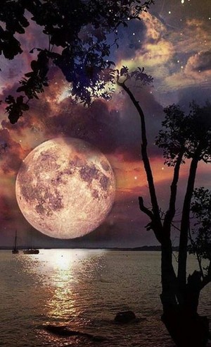 Moonlight Magic 🌕