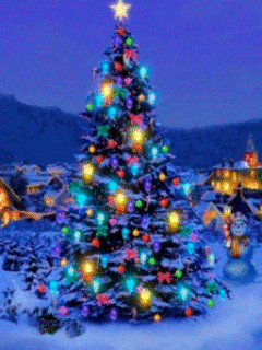  Pretty Natale Trees🎄
