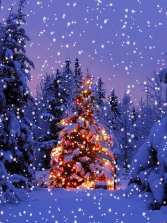  Pretty Natale Trees🎄
