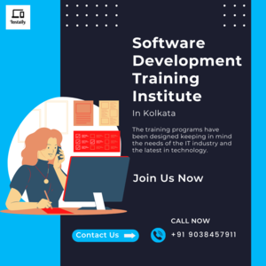 Software Development Training Institute - Instaily Academy