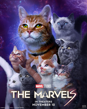 The Marvels | Celebrate National Cat Day | character poster 