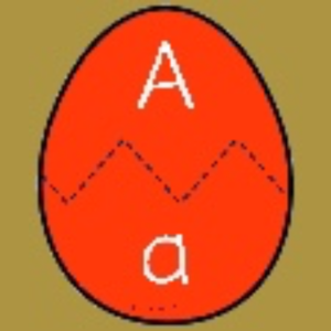  Upper & Lower Eggs A