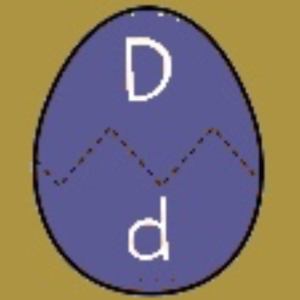  Upper & Lower Eggs D
